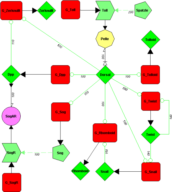 Images: Neuron Diagram