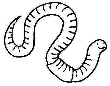 Worm Clip Art - Tumundografico