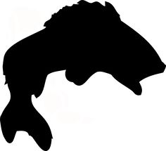 Graphics, Silhouette and Fish