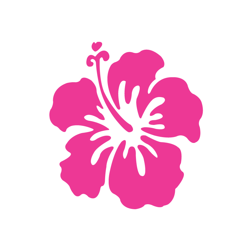 Picture Of Hibiscus Flower | Free Download Clip Art | Free Clip ...