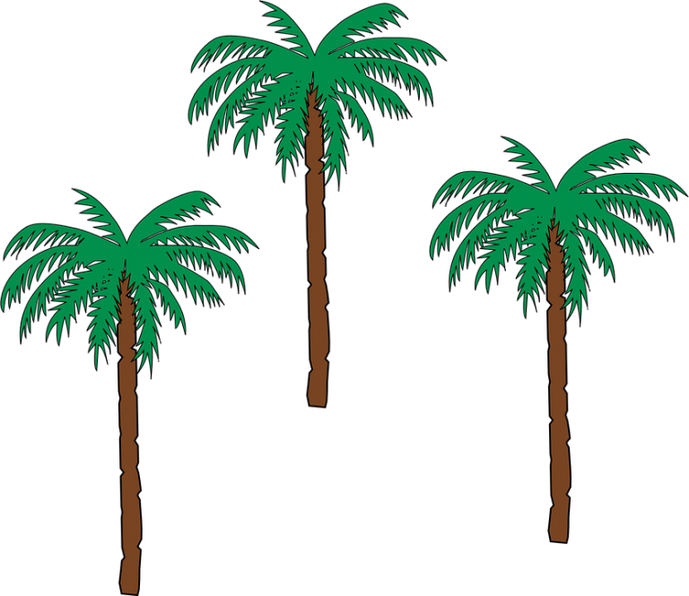 38246-palm trees date palm botany flora hot climate free vector ...