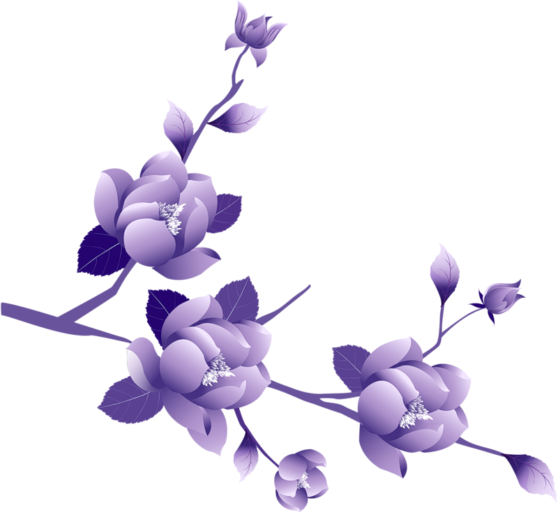 Flower Border Clipart Transparent