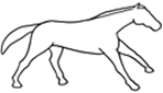 Gallopalooza | Horse Templates