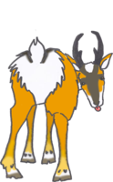 deviantART: More Like Antelope 'clipart' by silverwolf-