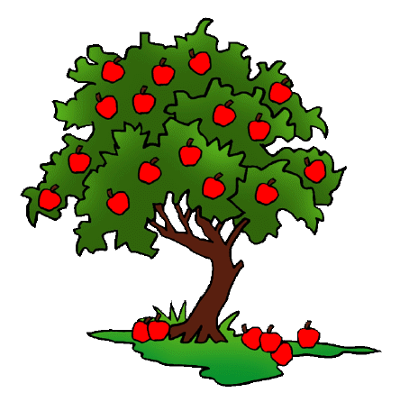 apple trees drawing