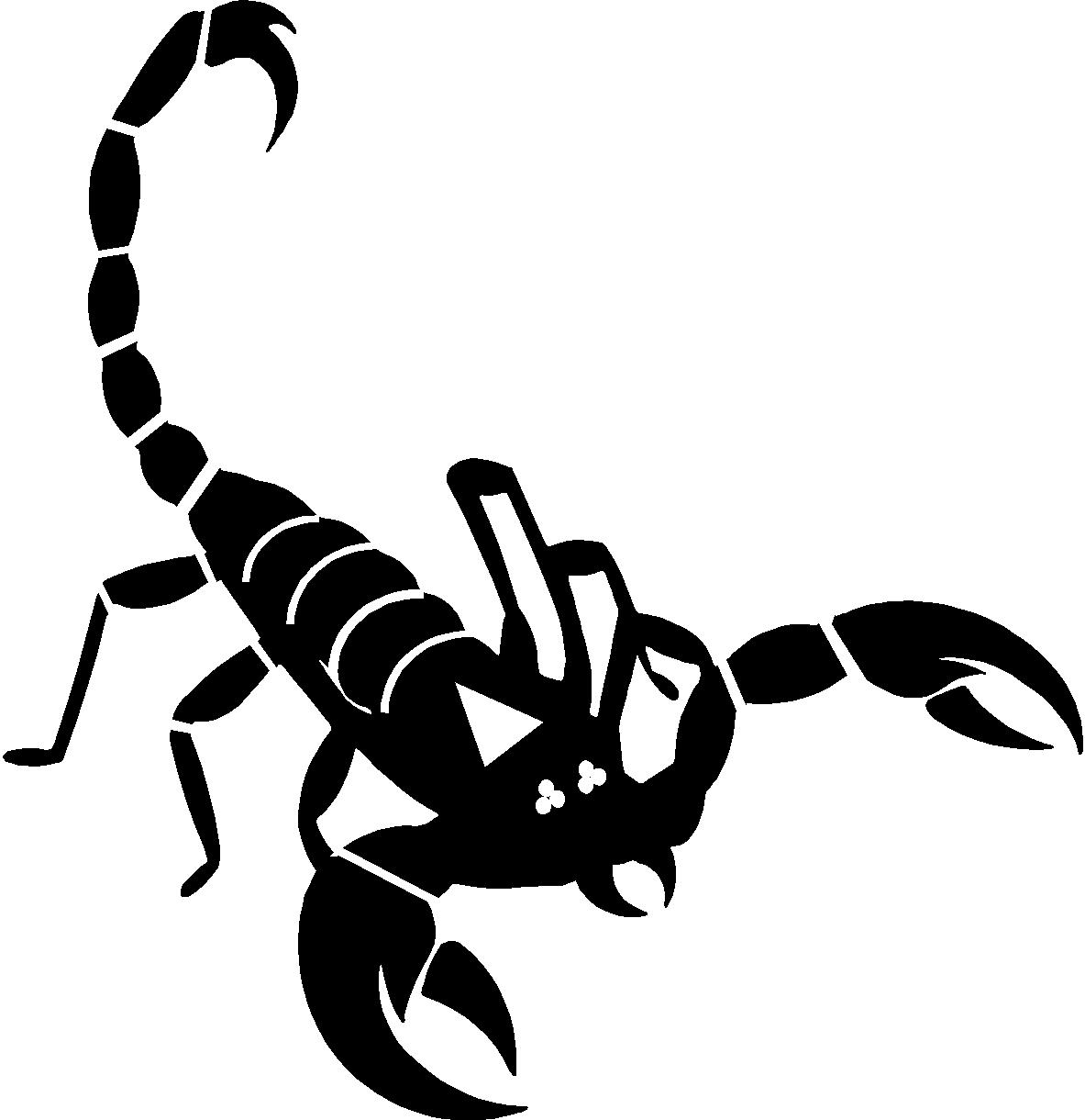 Cartoon Scorpion - ClipArt Best