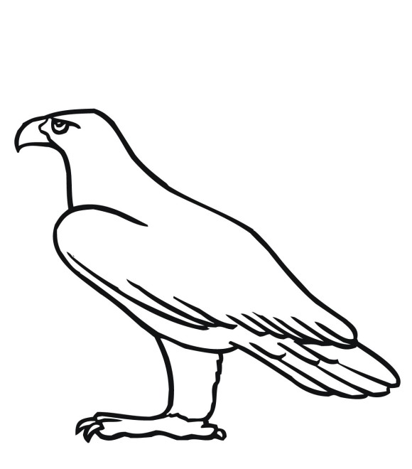 Flying Eagle Bird Coloring Page - Animal Coloring pages of ...