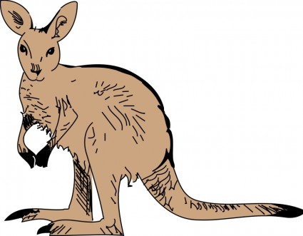 Kangaroo 3 Vector clip art - Free vector for free download