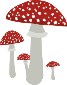 red-topped-mushrooms-md.png