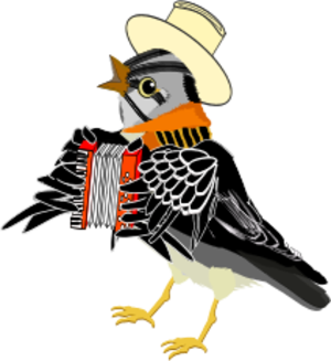 bird wearing a hat and playing music using accordion - vector Clip Art