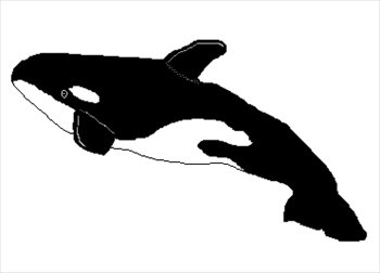 Killer Whale Clip Art