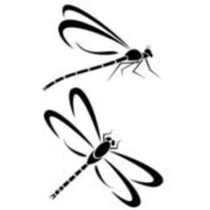 Dragonflies image - vector clip art online, royalty free & p ...
