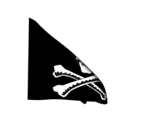 Flag Pirate-with-Bone Animated Flag Gif
