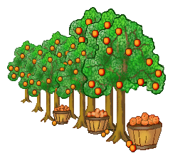 Orange Tree Clipart - Free Clipart Images