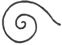 How to Draw Snails with Simple Step by Step Drawing Instructions ...