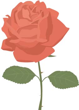 Rose Flower Vetor 12 Free Vector / 4Vector