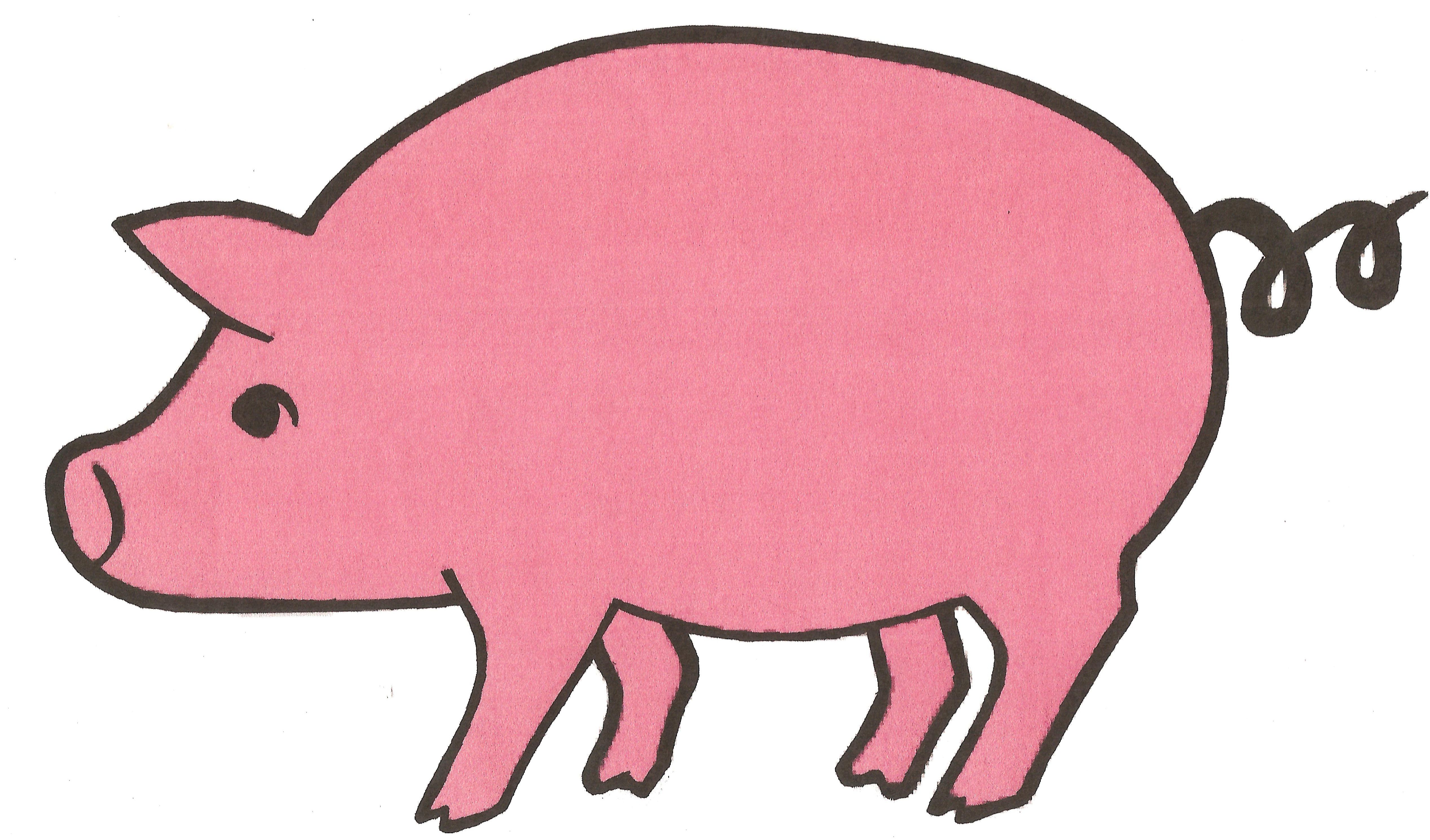 Pink Pig Picture