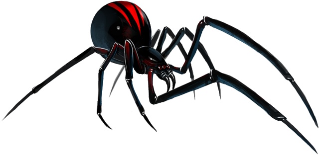 Black Widow Spider Art