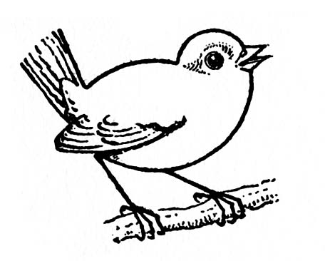 Printable Bird Pictures - CartoonRocks.com