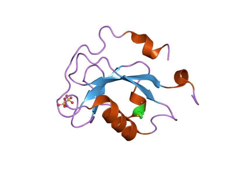 Labeled Neuron - ClipArt Best