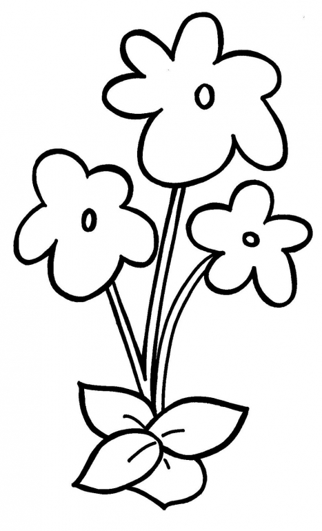 Flower Stem Coloring Pages | Online Coloring Pages
