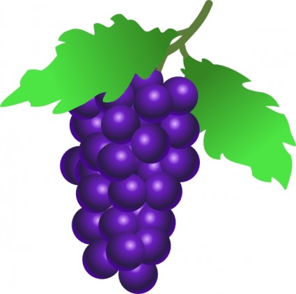 Grapes Vine clip art Free vector in Open office drawing svg ( .svg ...