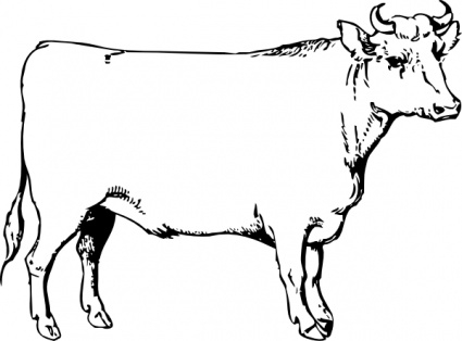 Ox Animal Clipart