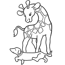 Top 20 Free Printable Giraffe Coloring Pages Online