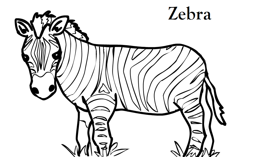 Zebra Outline Printable Free Printable Zebra Coloring Pages For 