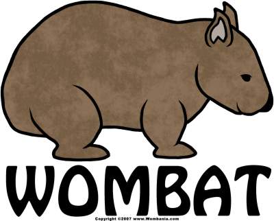 1000+ images about Wombats