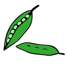 Snap peas clipart