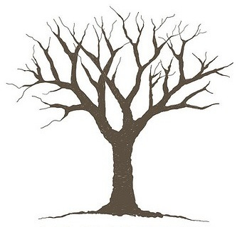 1000+ images about Tree template
