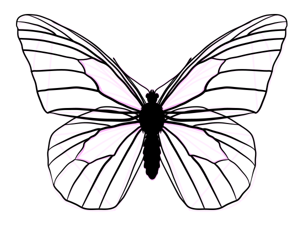 Line Drawings Of Butterflies