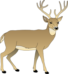 Deer buck clipart free clip art images image 0 2 - Clipartix
