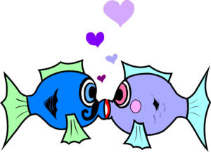 Kissing fish clip art