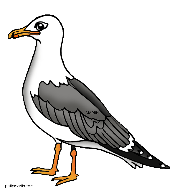 Clipart seagull