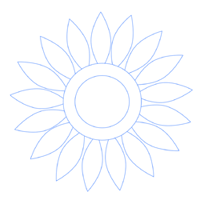 How to Draw Sunflowers