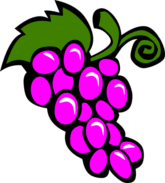 Pictures Of Grapes On A Vine