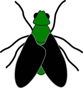 Green Fly Black clip art - vector clip art online, royalty free ...