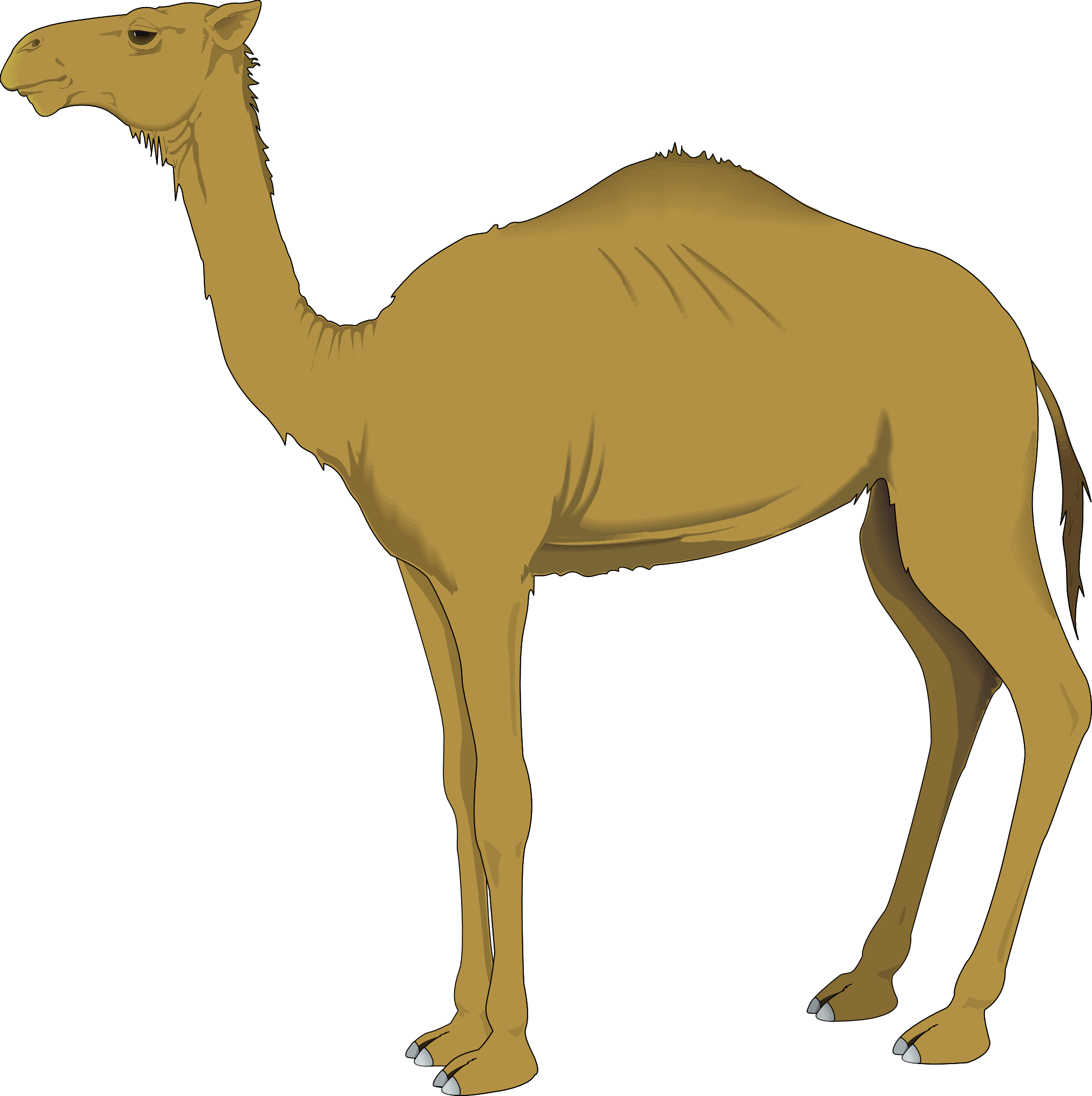 Camel Clipart - ClipArt Best