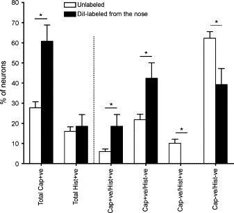 Nasal sensory nerve populations responding to histamine and capsaicin