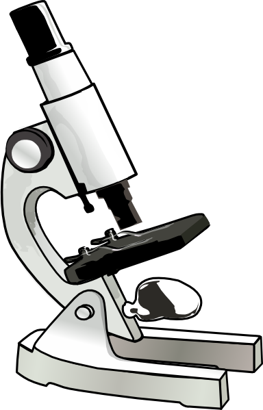 Diagram Of A Compound Microscope