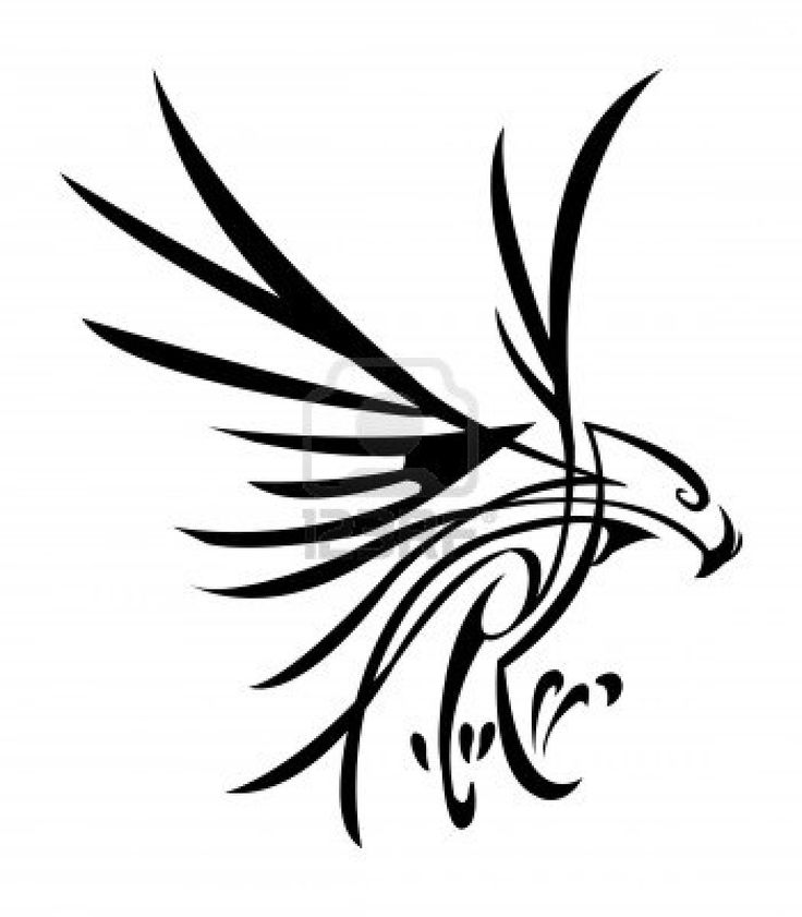 Eagle Wing Tattoos | Wing Tattoos ...