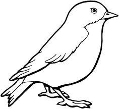 Coloring pages, Coloring sheets and Birds