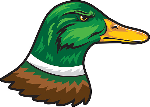 Mallard Duck Clip Art, Vector Images & Illustrations