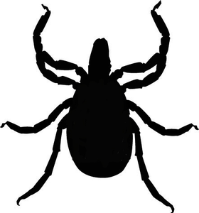 Deer tick clipart