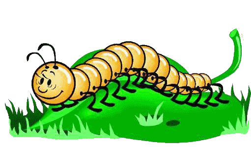 Centipede Clipart | Free Download Clip Art | Free Clip Art | on ...