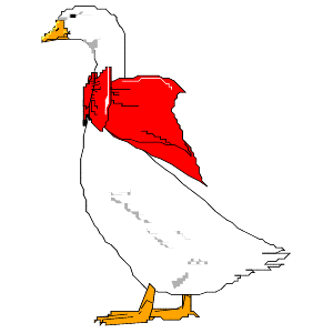 goose clipart - Free Clipart Images