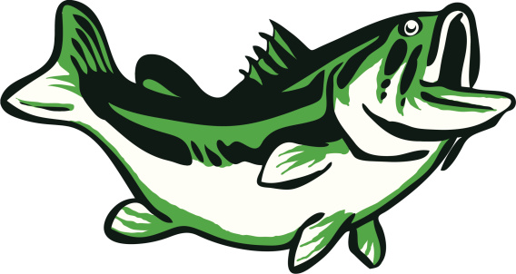 Freshwater Bass Clip Art, Vector Images & Illustrations