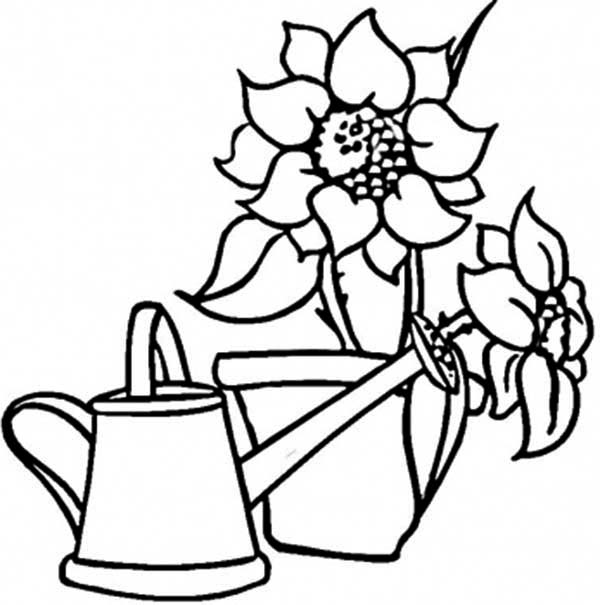 Watering Can and Sunflowers Coloring Page: Watering Can and ...